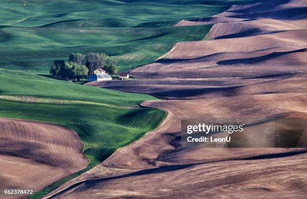 palouse in spring, wa, usa - pole barn stock pictures, royalty-free photos & images