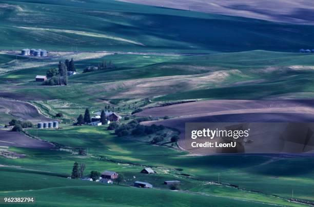 palouse in spring, wa, usa - pole barn stock pictures, royalty-free photos & images