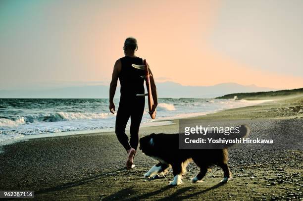 silhouette of senior surfer with dog - chigasaki stockfoto's en -beelden