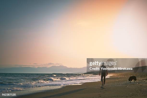 silhouette of senior surfer - chigasaki stockfoto's en -beelden
