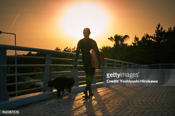 silhouette of senior surfer with dog - chigasaki stock pictures, royalty-free photos & images