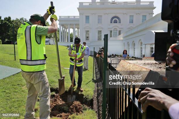 Landscapers work to repair a sinkhole that opened on the lawn outside the north side of the White House West Wing May 25, 2018 in Washington, DC. The...