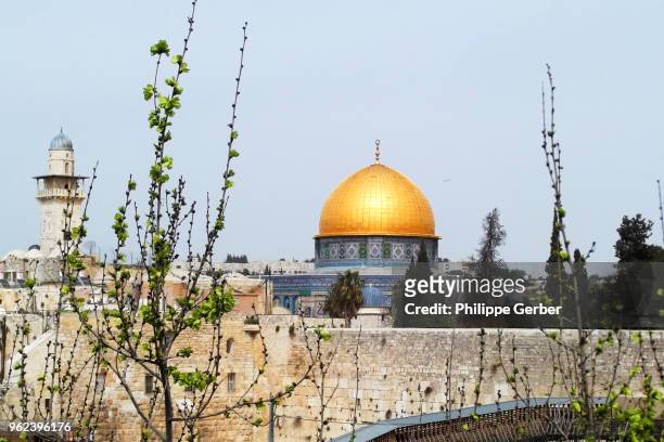al-aqsa mosque and dome of the rock - palestina bildbanksfoton och bilder