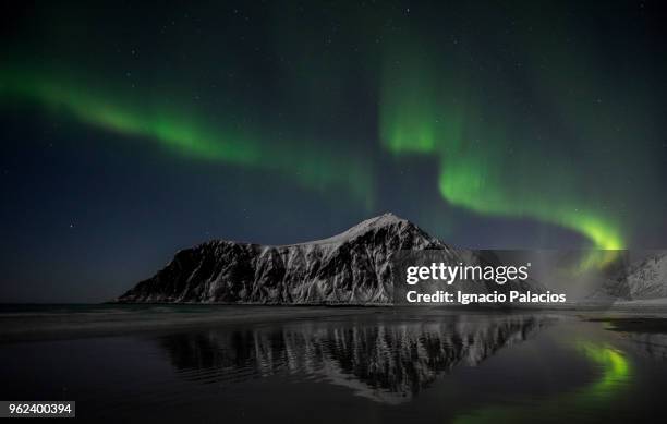 aurora borealis (northern lights) at skagen beach, lofoten islands - ignacio palacios stockfoto's en -beelden