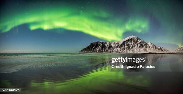 aurora borealis (northern lights) at skagen beach, lofoten islands - ignacio palacios stockfoto's en -beelden