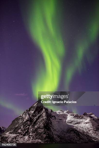 northern lights (aurora borealis), hamnoy, lofoten - ignacio palacios stockfoto's en -beelden