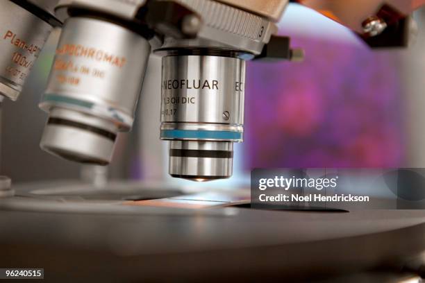 Higher Microscope High Powered Microscope Photos and Premium High Res Pictures - Getty Images
