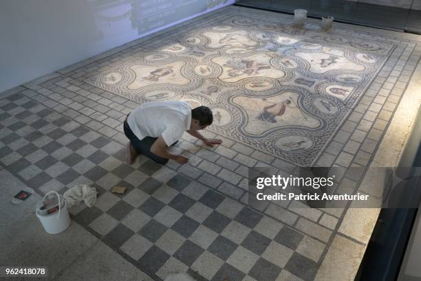 Roman Mosaic in the new Museum of Romanite on May 25, 2018 in Nimes, France. Inside this new contemporary building, more than 5,000 heritage works...