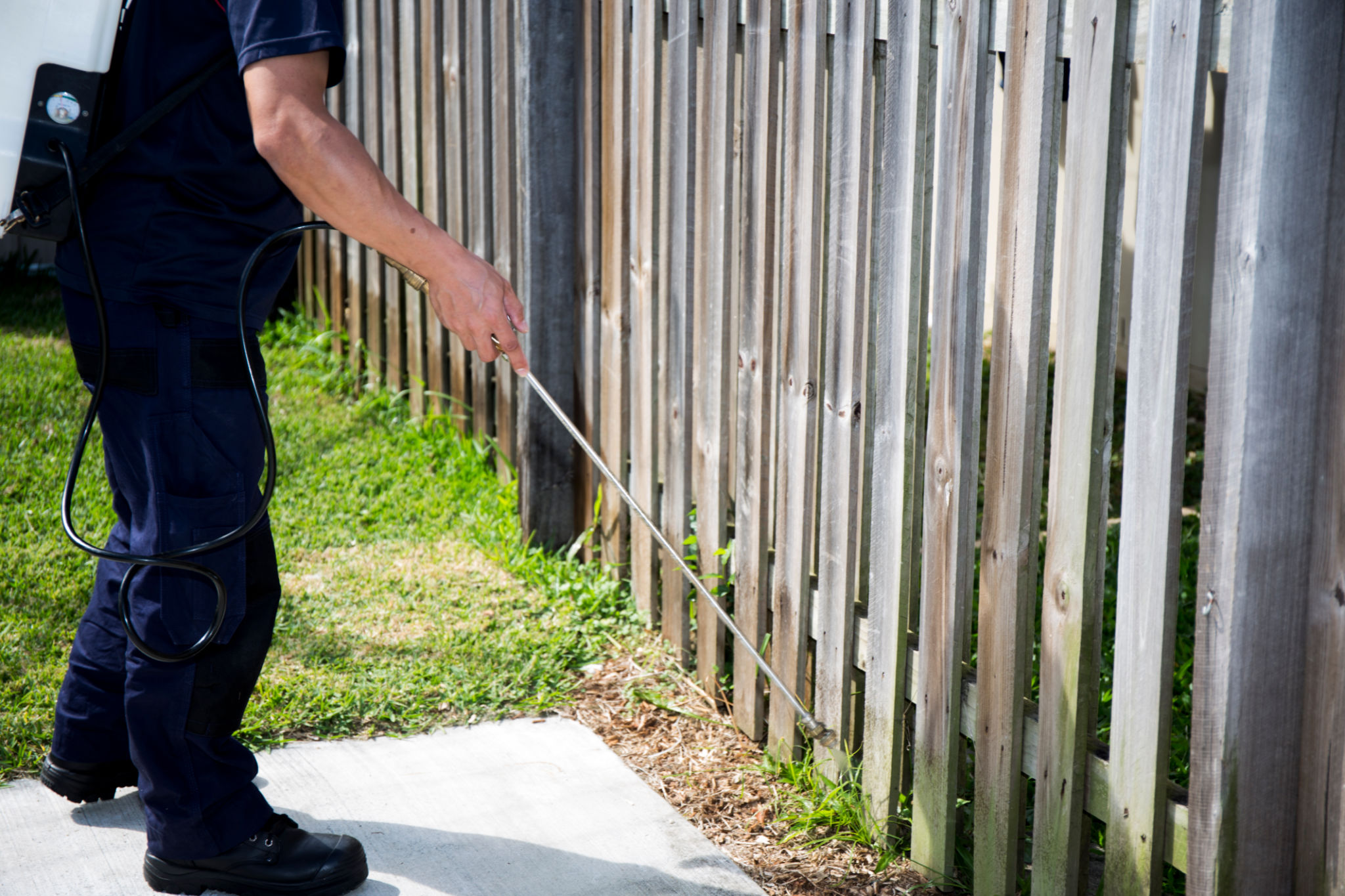licensed pest control