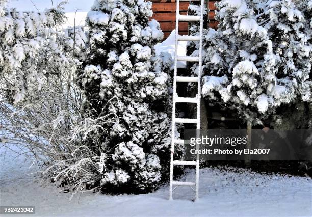 this is a sky ladder in the christmas time - ela2007 fotografías e imágenes de stock