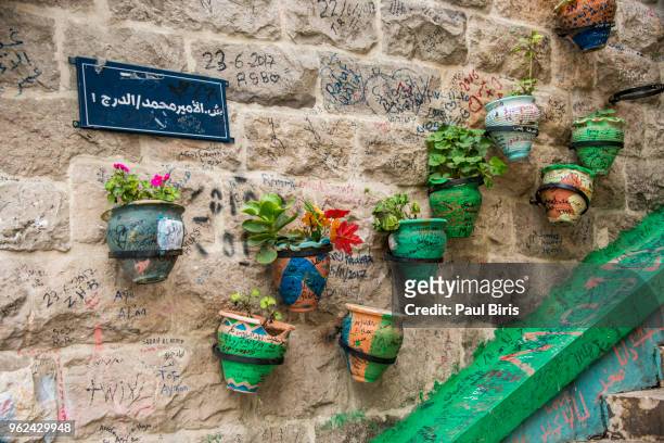 flower pots on a wall in amman, jordan - amman stock pictures, royalty-free photos & images