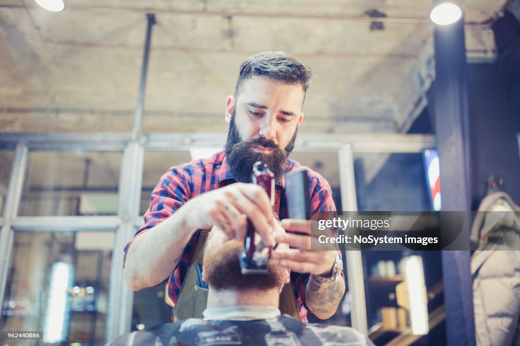 Fuligule à tête rouge, des gars barbu à la coiffure