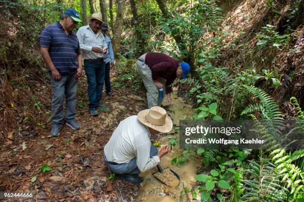People panning for gold at an old goldmine near the Mixtec village of San Juan Contreras near Oaxaca, Mexico.