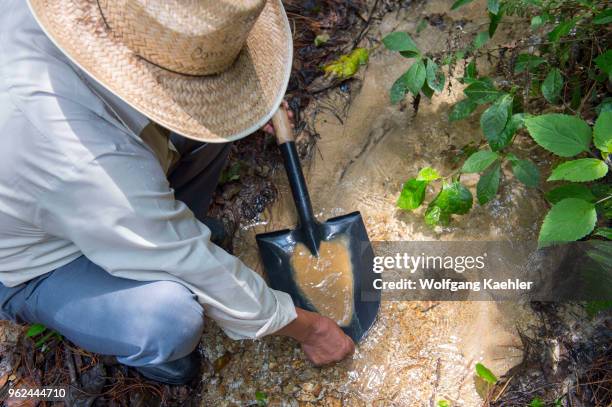 People panning for gold at an old goldmine near the Mixtec village of San Juan Contreras near Oaxaca, Mexico.