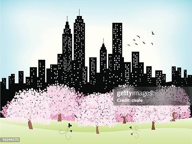 summer,spring city skyline and park with shining sky,trees - central park stock illustrations