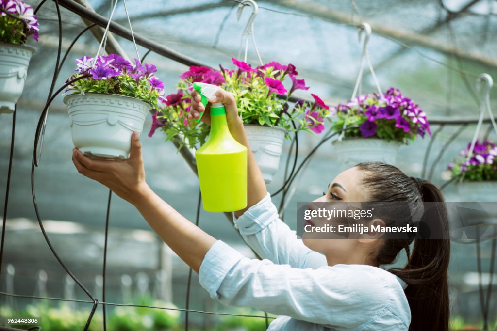 Young woman watering plants in greenhouse