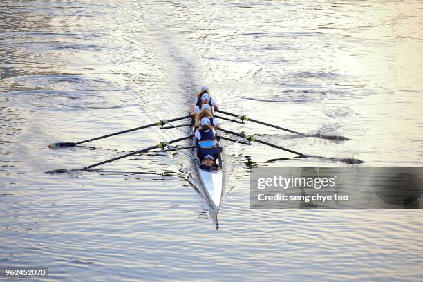 canoeing rowing team in movement - sculling crew stock pictures, royalty-free photos & images