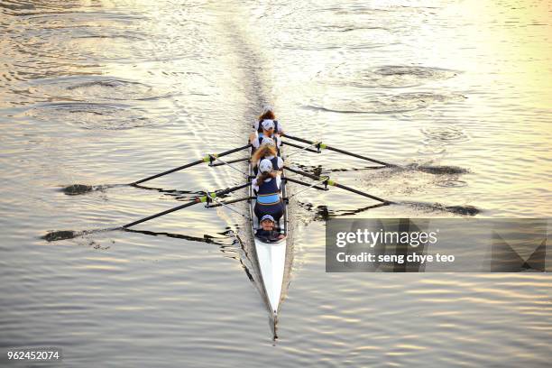 canoeing rowing team in movement - sculling crew stock pictures, royalty-free photos & images