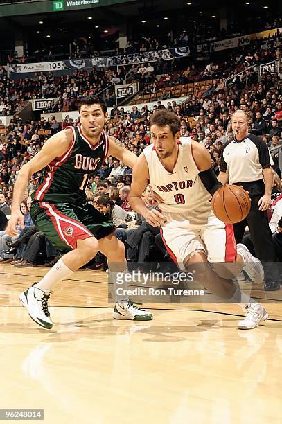 Marco Belinelli of the Toronto Raptors drives against Carlos Delfino of the Milwaukee Bucks during the game on January 22, 2010 at Air Canada Centre...