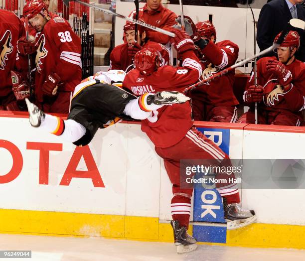 Scottie Upshall of the Phoenix Coyotes checks a Calgary Flames player on to the bench on January 28, 2010 at Jobing.com Arena in Glendale, Arizona.