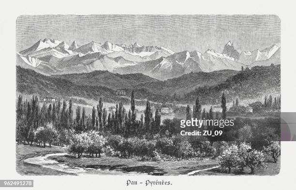 valley of pau, pyrenees, france, wood engraving, published in 1897 - midi pyrenees stock illustrations