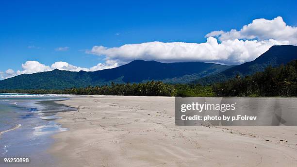 the wild and desert beach of cape tribulation - pfolrev stockfoto's en -beelden