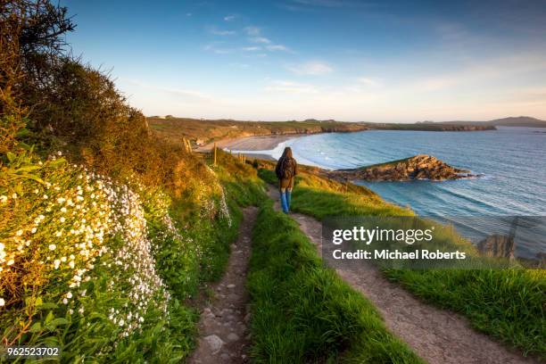 walker on the pembrokeshire coast path at whitesands near st davids, wales - wales countryside stock pictures, royalty-free photos & images