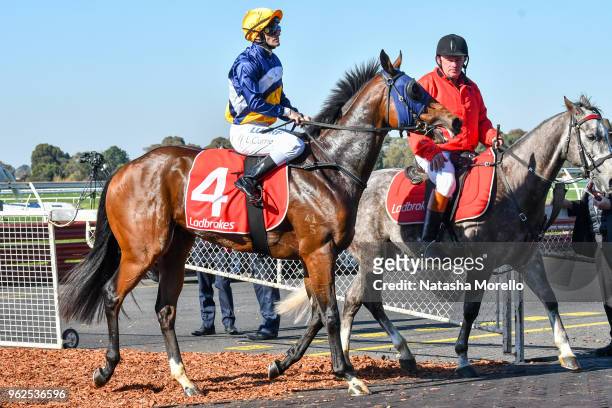Luke Currie returns to the mounting yard aboard Scottish Rogue after winning the Ladbrokes Back Yourself Handicap at Ladbrokes Park Lakeside...
