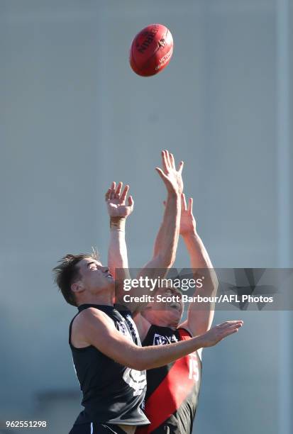 Fraser Pearce of the Blues and Josh Green of Essendon compete for the ball during the round eight VFL match between the Northern Blues and Essendon...