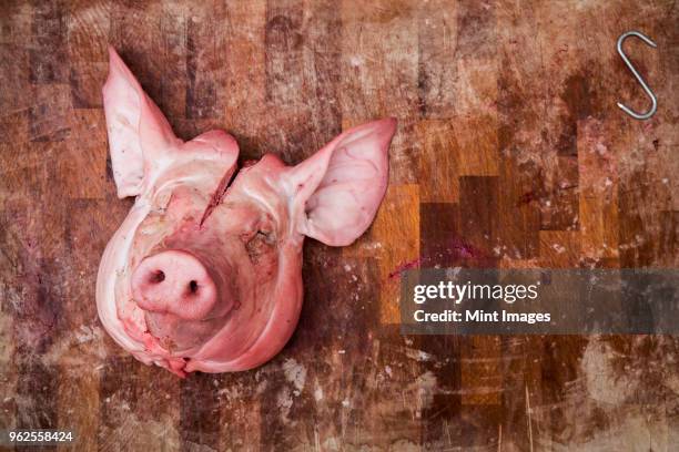 high angle close up of slaughtered pigs head on wooden butchers block. - wooden block stockfoto's en -beelden