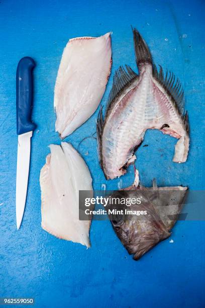 high angle close up of filleted john dory fish and knife on blue chopping board. - filleted stock pictures, royalty-free photos & images