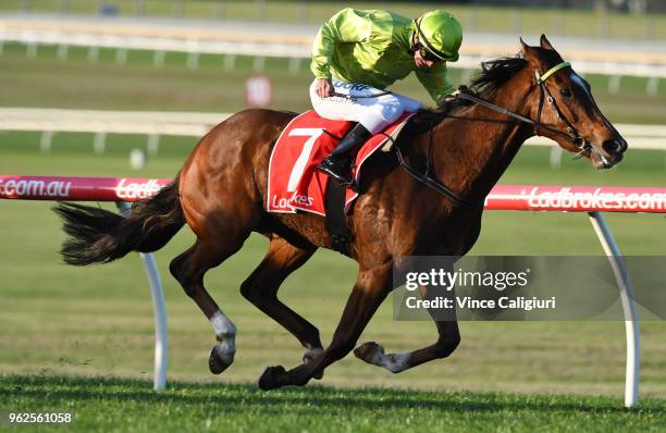 Luke Currie riding Truly Discreet wins Race 8, during Melbourne Racing at Sandown Lakeside on May 26, 2018 in Melbourne, Australia.