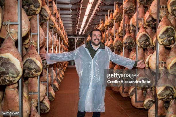 Matteo Salvini, candidate premier of Lega, visits the Pellacci Callisto ham factory in the Traversetolo area of Parma during his political rally on...