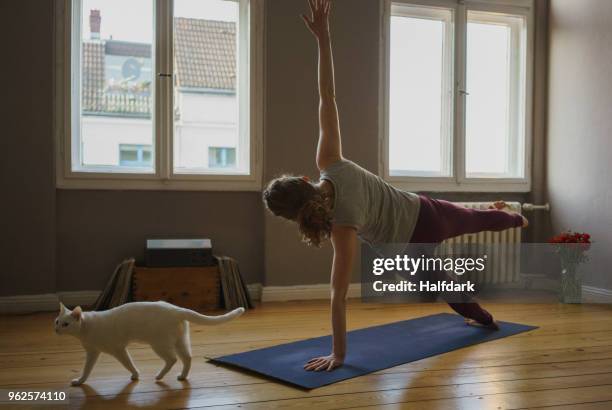 rear view full length of woman practicing side plank pose on exercise mat by cat at home - side plank pose stock pictures, royalty-free photos & images
