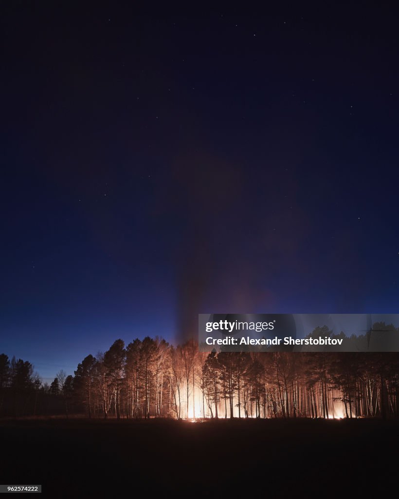 Trees burning in forest at night, Zeya, Amur, Russia