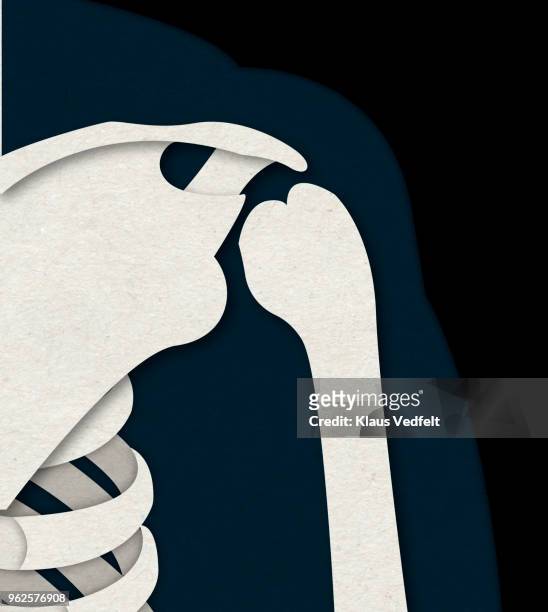 illustration of human shoulder - humerus stock pictures, royalty-free photos & images