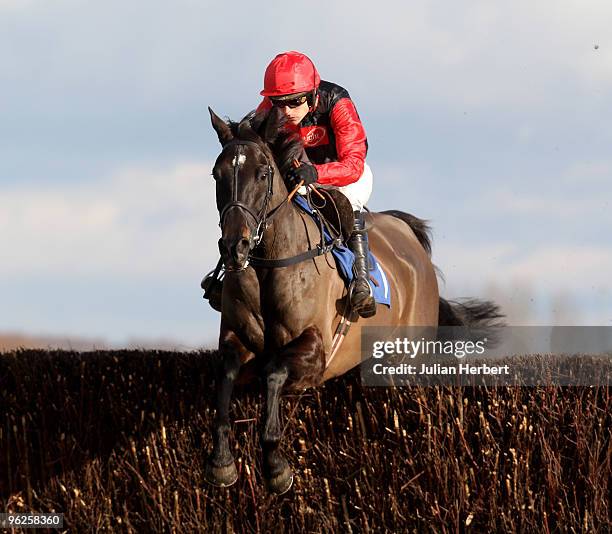 Ruby Walsh and Tataniano clear a fence during The MC Seafoods Novices' Steeple Chase Race run at Newbury Racecourse on January 29, 2010 in Newbury,...