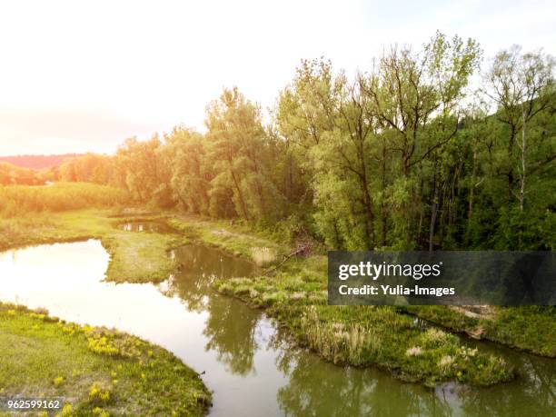 tranquil spring landscape with stream - watercourse stock pictures, royalty-free photos & images