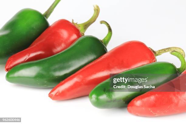 colorful jalapeno peppers (capsicum annuum) - bolet poivré photos et images de collection