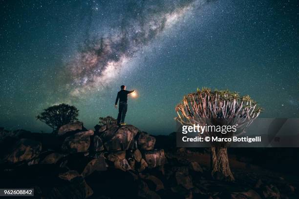 man holding a lantern illuminating a quiver tree - namibia sternenhimmel stock-fotos und bilder
