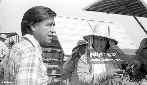Labor activist Cesar Chavez speaks with a farm worker picking grapes in a field, Delano, California, ca.1975.