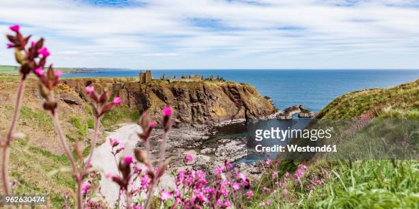 scotland, aberdeenshire, ruins of dunnotar castle at the sea - dunnottar castle 個照片及圖片檔