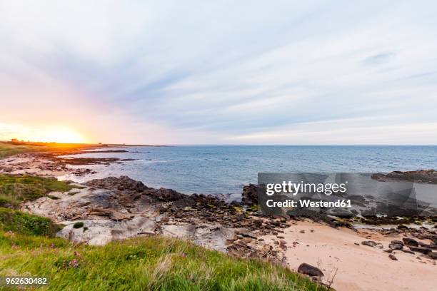 scotland, fife, kingsbarns, beach at sunset - fife scotland 個照片及圖片檔