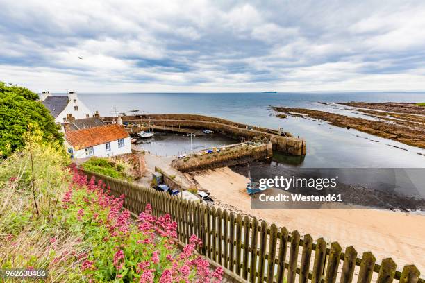 scotland, fife, fishing haven of crail - fife scotland stock pictures, royalty-free photos & images