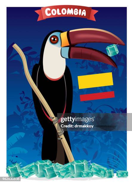 illustrations, cliparts, dessins animés et icônes de toucan et émeraude - mocoa