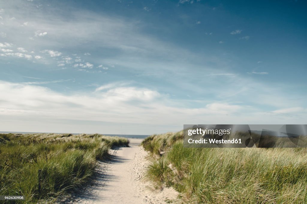 Germany, Spiekeroog, path through dunes