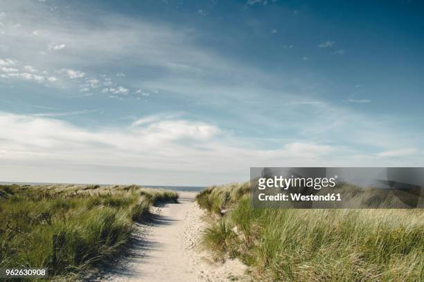 germany, spiekeroog, path through dunes - spiekeroog photos et images de collection