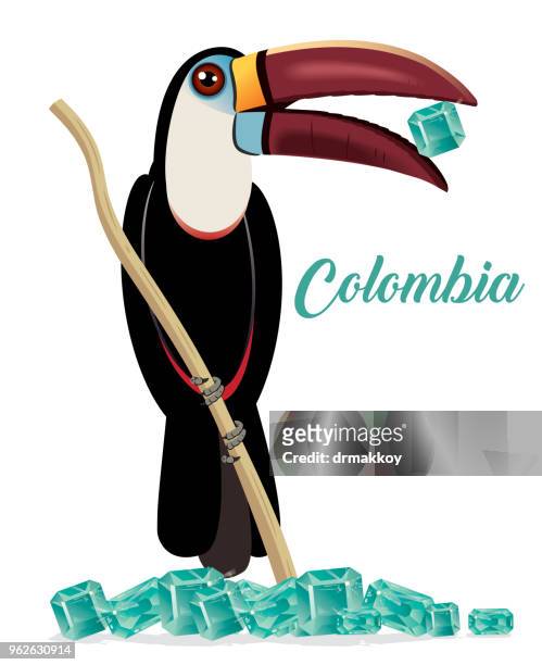 toucan and emerald - cartagena colombia stock illustrations