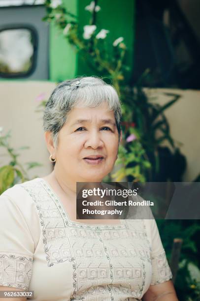 grandmother with grandchildren - luisiana photos et images de collection