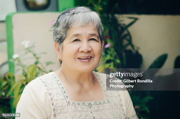 grandmother with grandchildren - luisiana photos et images de collection